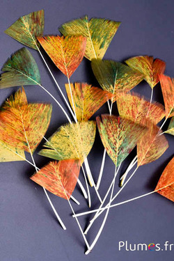 Blütenblätter aus Federn - 6-8 cm x 3-4 cm - Herbst